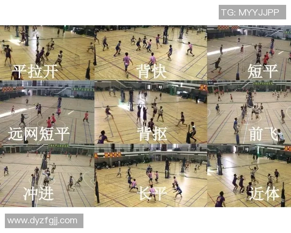 武汉排球队节奏对比分析：战术风格与比赛表现的深度剖析