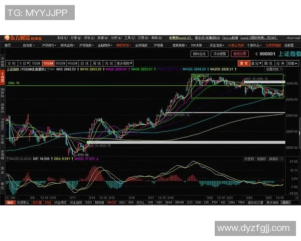 武汉足球队与深圳足球队赛后复盘分析比赛节奏与战术表现的深度解读