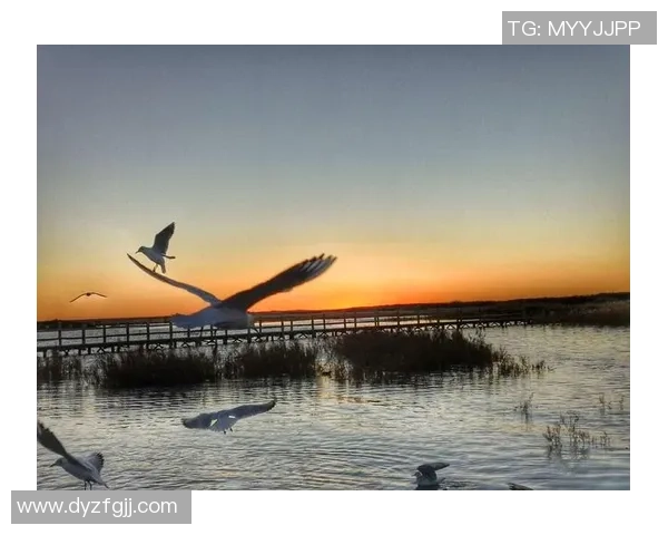 深度对话周磊探讨足球人生与梦想追逐的心路历程