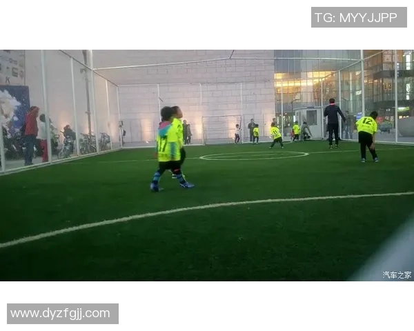 阿里代伊：足球场上的传奇巨星与不朽的荣耀之路