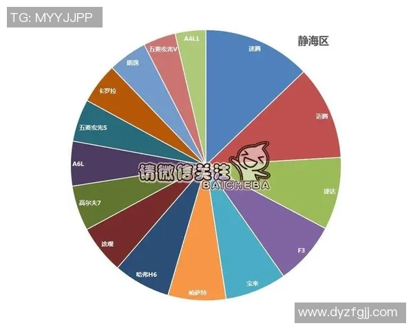 独家分析：上海网球队的节奏对比