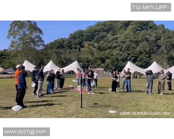 2026飞盘节奏排行榜：广州飞盘队位居第8名