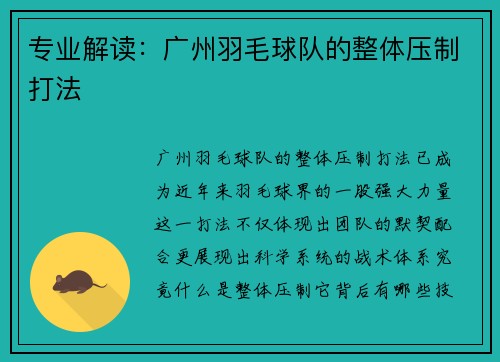 专业解读：广州羽毛球队的整体压制打法