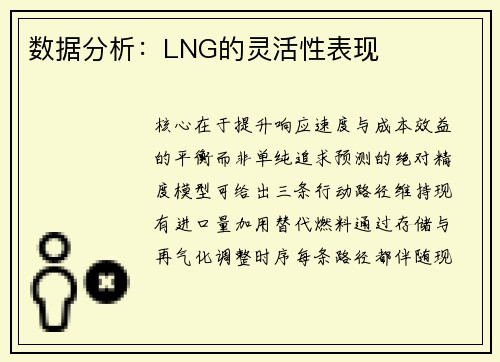 数据分析：LNG的灵活性表现