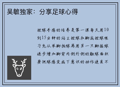 吴敏独家：分享足球心得